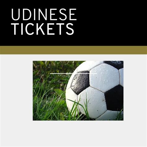 udinese tickets